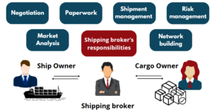 The responsibilities of a shipping broker among other actors