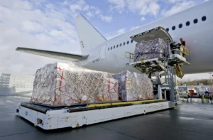 Capacity, transit time, and international expertise