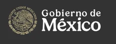 The Customs Department of Mexio